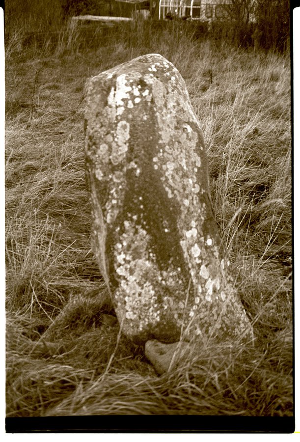 Megalith at Cardrona Mains
